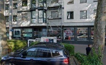 German institute Angelika Tanager