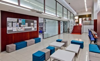 AIP Language Institute