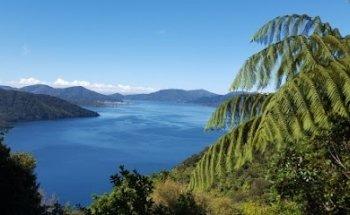 Kerstin Scholz - Freie Mitarbeiterin Study Nelson Ltd