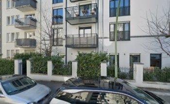 Koreantiger Interkulturelle Kommunikation Coaching