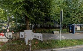 Chinesischer Sprachendienst Von Chong Lee