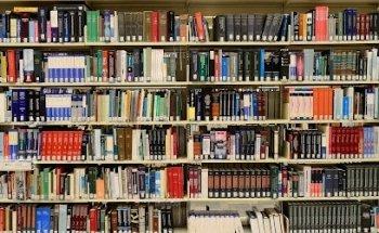 Online Sprachschule Klaus Schedl