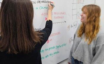 Venga Va Spanish School