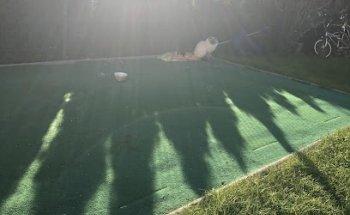 Geschwister-Scholl-Schule