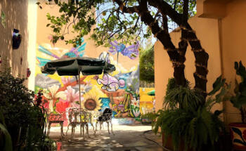 Oaxaca Spanish Magic