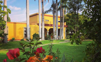 INSTITUTO CULTURAL OAXACA