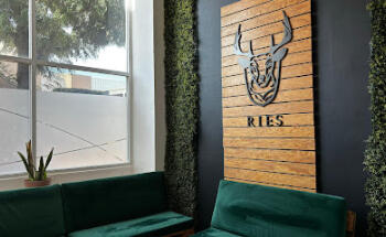 RIES Idiomas Irapuato