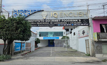 IQ English Cuernavaca