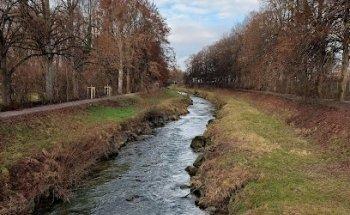 Gemeinschaftsschule Schreienesch FN