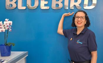 Bluebird Idiomas Presencial e Online Ao Vivo | Inglês | Alemão | Francês | Portuguese |