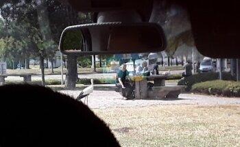 Sint-Vincentius-School van Kachtem