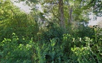 Gemeinschaftshauptschule Korschenbroich