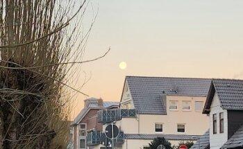 Albert-Schweitzer-Schule