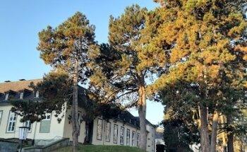 Volkshochschule Lippstadt