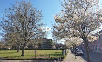 GO! Atheneum Schoten