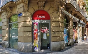 MondragonLingua | Academia de inglés y euskera en Donostia-San Sebastián