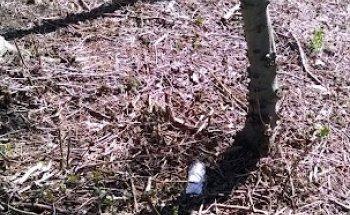 St Josephs R C High School & Sports College