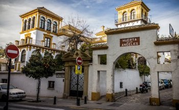 Centro de Lenguas Modernas