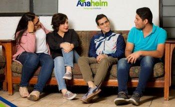 Anaheim Language Institute