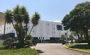 Centro de Estudios Avanzados en Lenguas Modernas (CEALM).Universidad de Jaén