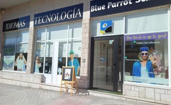 Blue Parrot School Madrid - Escuela de idiomas