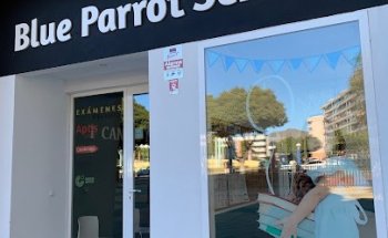 Blue Parrot School Málaga - Escuela de idiomas