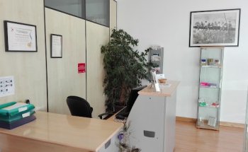 The International College Of Languages