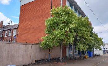 Adult Education Wolverhampton