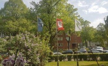 IBH - Interkulturelle Bildung Hamburg e.V.