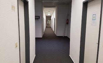 LANES language institute