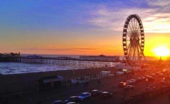 EC Brighton English Language School