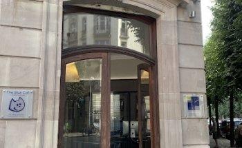 The Blue Cat English For Children Strasbourg