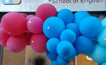 Playroom School of English