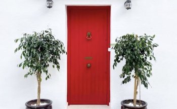 Academia Liberty English