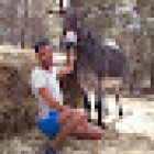 Arabisch Schule und Kultur (ASK)