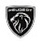 PEUGEOT PAU - Groupe Autosphere