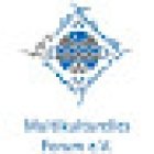 Multikulturelles Forum e.V.