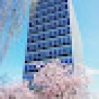 KAPITO Sprachschule | Deutschkurse in Münster