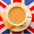 The Balkan School Of Languages