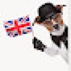 Sprachstudio, Nachhilfe und Lerntherapie Sabine Engel