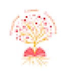 Positive Coach Academy