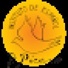 Spanish Courses - Instituto Picasso