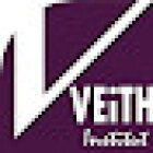 Veith Institut