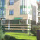 Piccadilly School Lugones