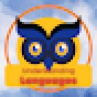 Understanding Languages (English and Spanish Courses)