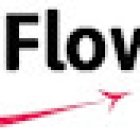 Flowently, Language training for growing companies & busy individuals