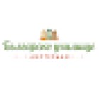 Bulgarian school Amsterdam