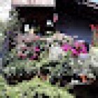 ESPAGNOL COURS PROFESSEUR PRÉSENTIEL OU ONLINE