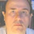 Language Learning with dictionaric.com