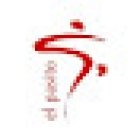 el pasito - Salsa, Flamenco und Spanisch lernen in Stuttgart